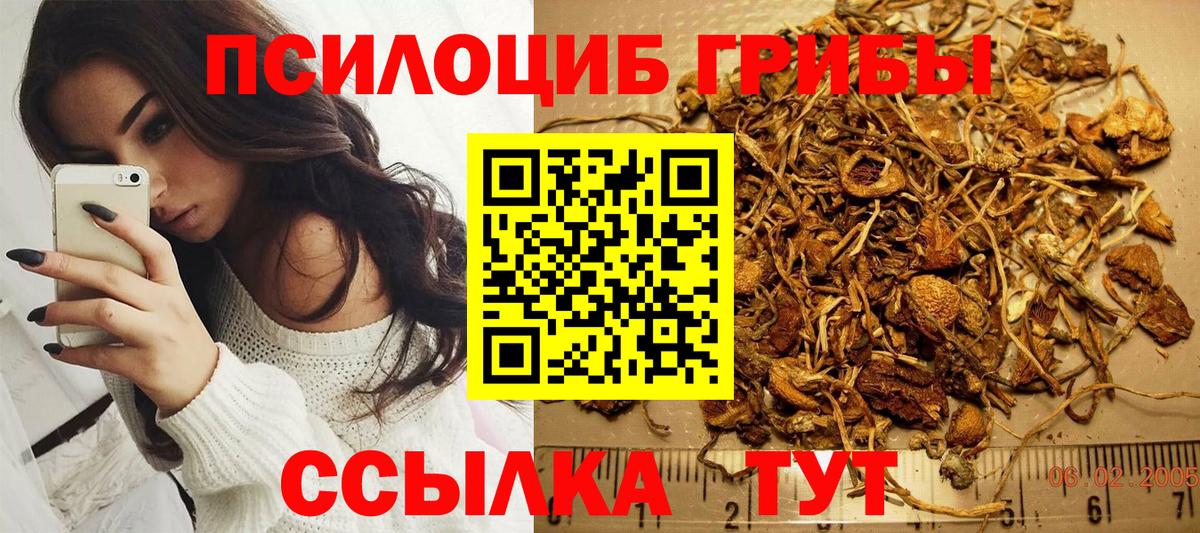 Псилоцибиновые грибы Psilocybine cubensis  где продают   Новотроицк  Вход с VPN 