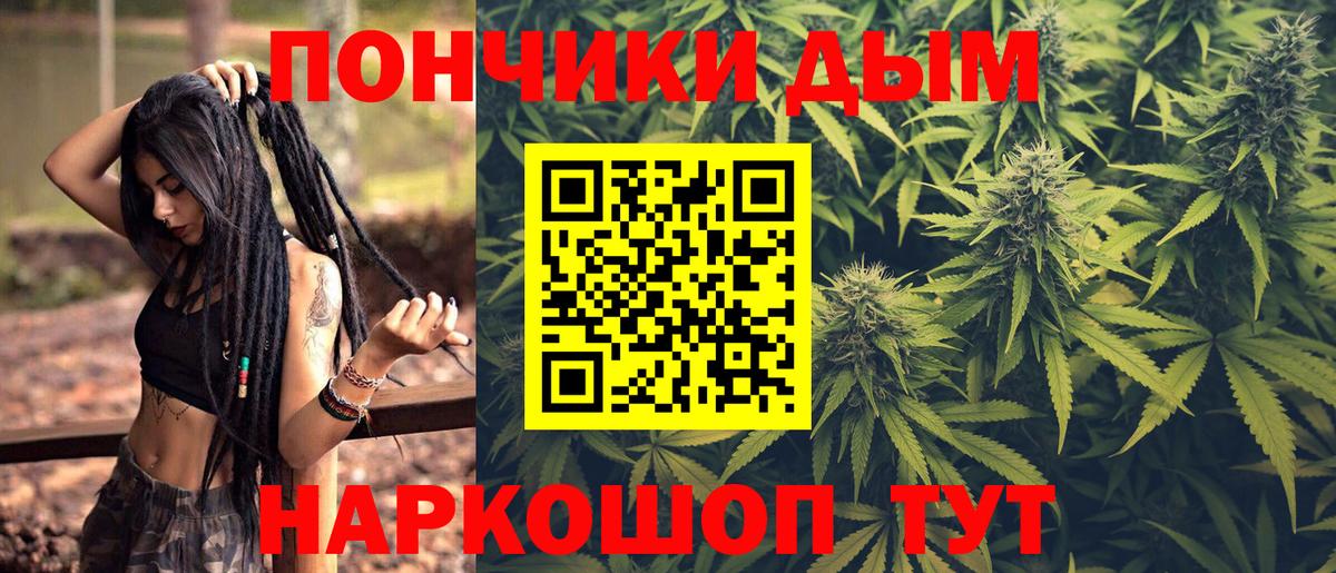 Бошки Шишки семена Новотроицк